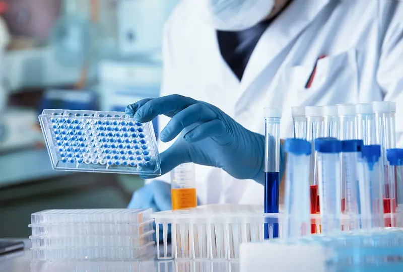 3sample 8 Scientist in a lab coat and gloves examines a microplate with test tubes and laboratory equipment in the background.